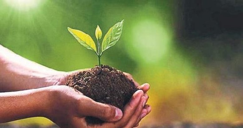 Ünlülerden ağaç seferberliği