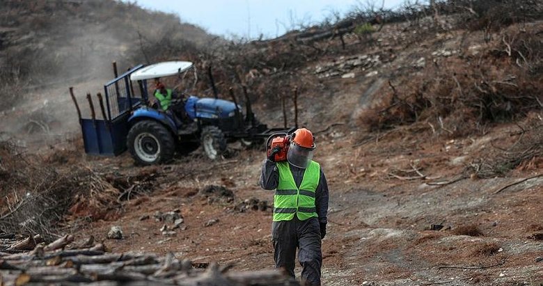 İzmir ve Manisa’da yanan ormanlar 1,5 milyon fidanla yeniden yeşerecek