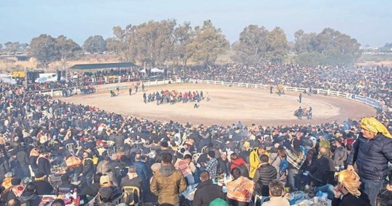 On binler Selçuk’taki Deve Güreşi Festivali’nde buluştu