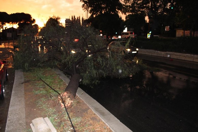 Aydın’da etkili olan fırtına ortalığı birbirine kattı