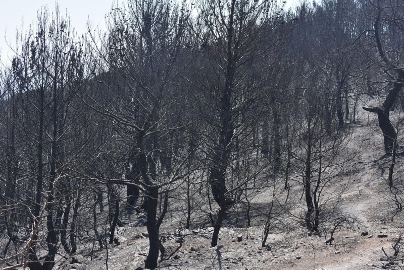 İzmir Karabağlar’daki yangından geriye kapkara bir tablo kaldı