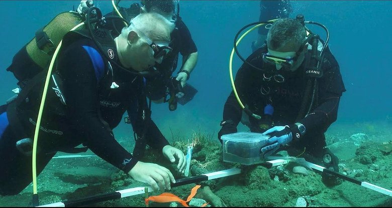 Su altı mirası gün yüzüne çıkıyor! Datça açıklarında Osmanlı savaş gemisi