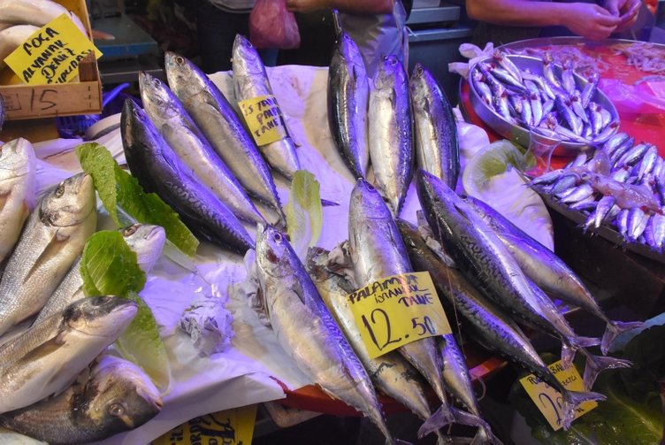İzmir’de balıkçılar uyardı! ’Palamut’ diye tombik satıyorlar