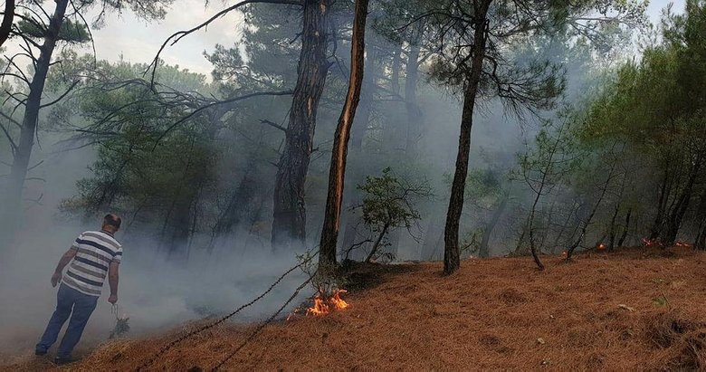 Kaz Dağı Milli Parkı’nda orman yangını