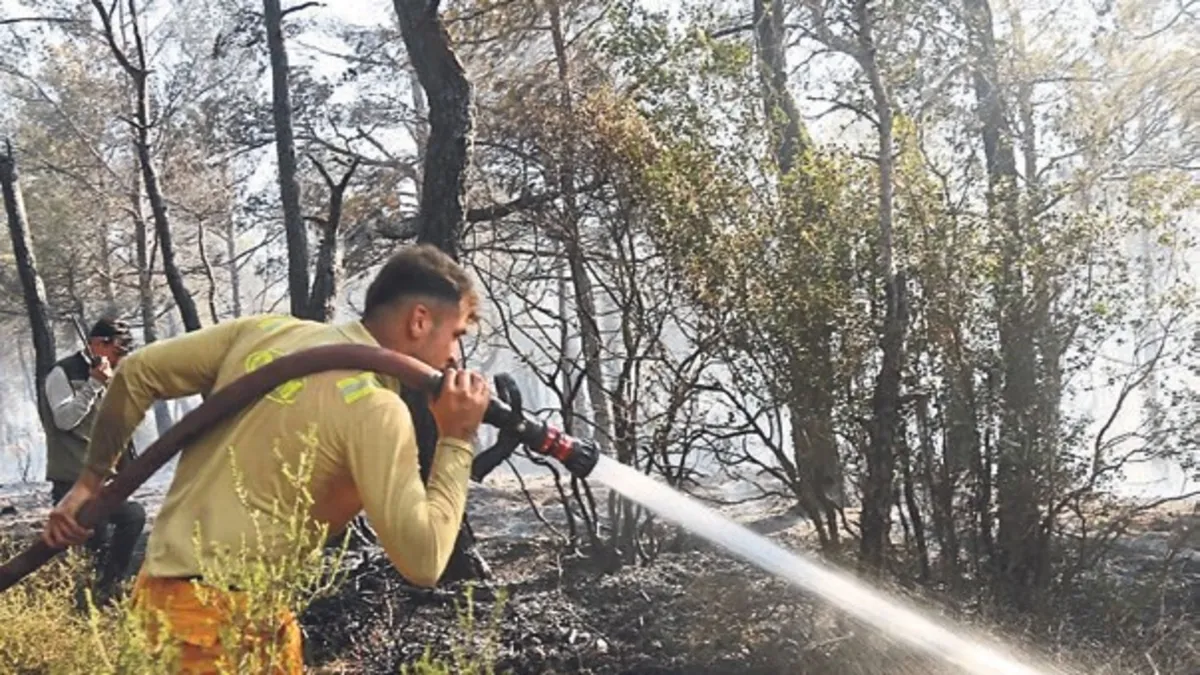 Muğla Menteşe'deki Orman Yangınının Kaynak Makinesinden Çıktığı Belirlendi: Bir Kişi Gözaltına Alındı
