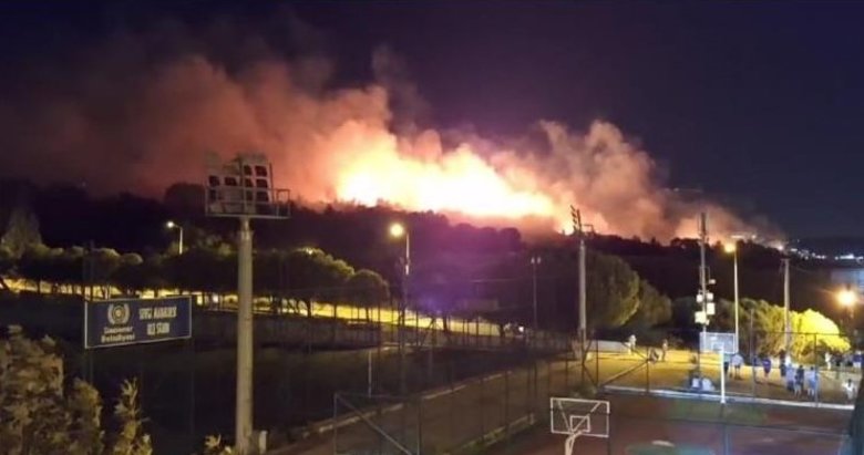 İzmir Gaziemir’de orman yangını