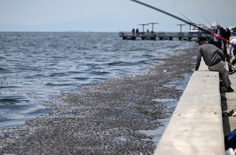 İzmir Körfezi’nin hali korkunç: Tunç Soyer böyle giderse 33 yıl sonra bile yüzemez