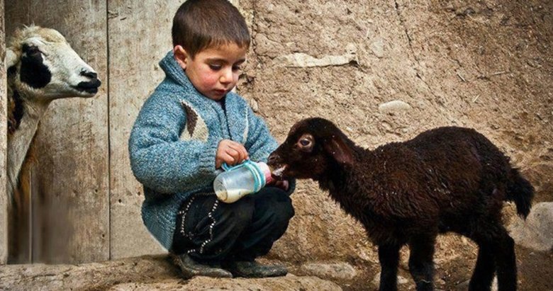 Varlığın ilâhi mayası: Merhamet