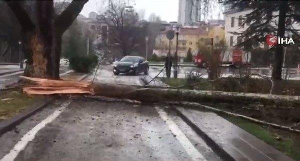 TBMM bahçesine yıldırım düştü!