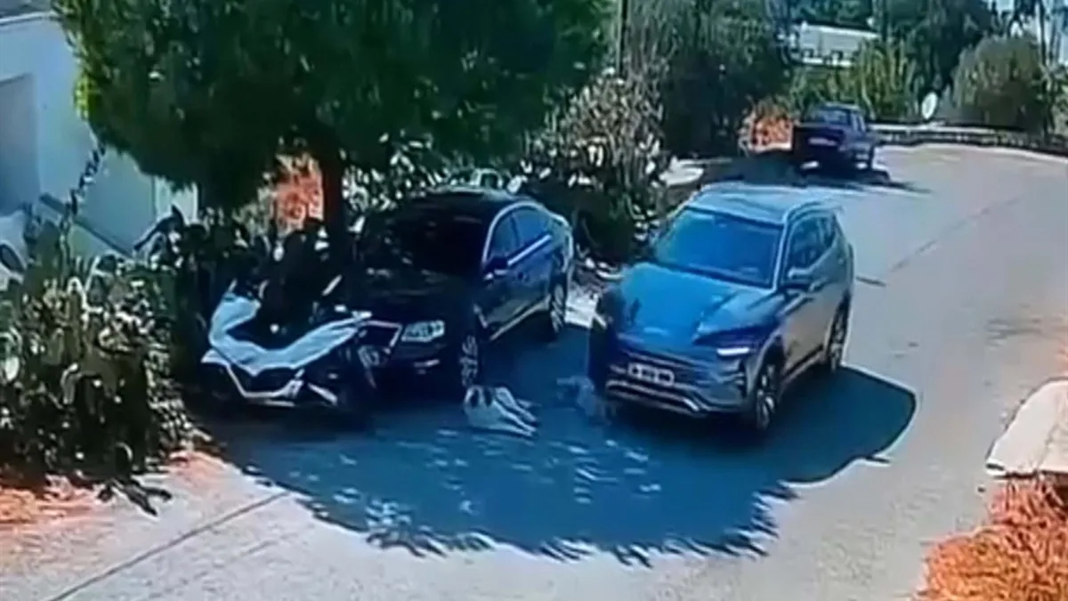 Muğla Bodrum’da kan donduran görüntü! İki köpeğin üzerinden geçip yoluna devam etti