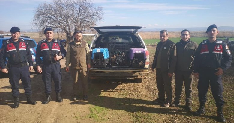 Çanakkale’de kaçak av operasyonuna 70 bin TL ceza