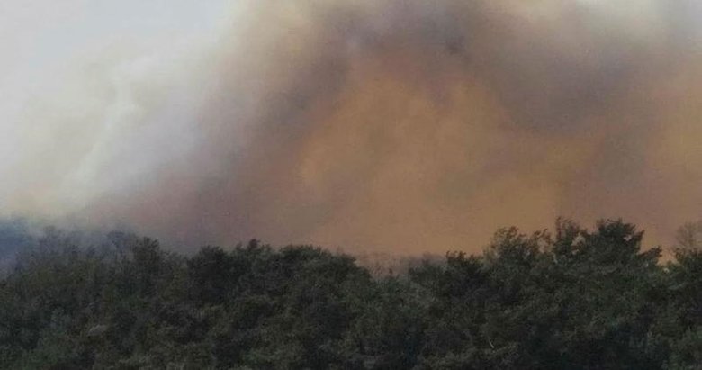 Çanakkale’de orman yangınına müdahale ediliyor