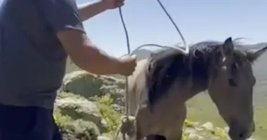 Afyonkarahisar’da kan donduran rezalet!