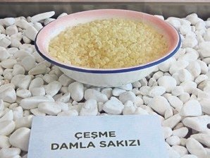 Ağaçlardan sakız damlayacak