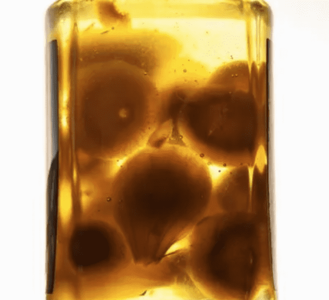 İbn-i Sina’nın bin yıllık gizli reçetesi! Bu karışım bir mucize...