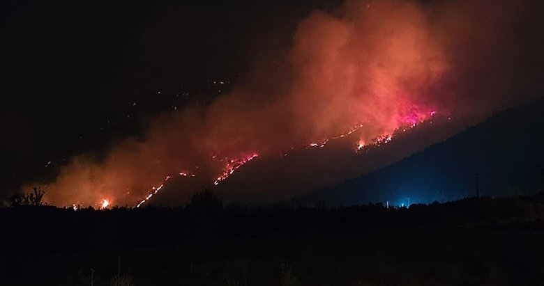 Son dakika: Denizli’deki orman yangını kontrol altında