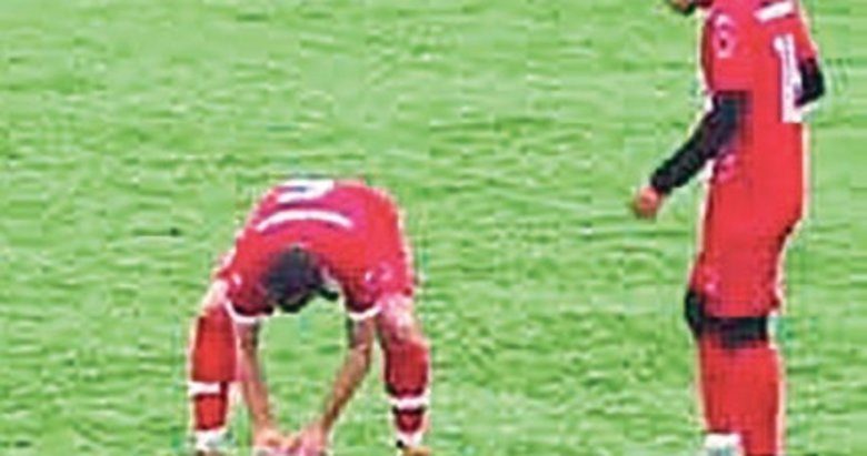 Top isabet eden martıya kalp masajı