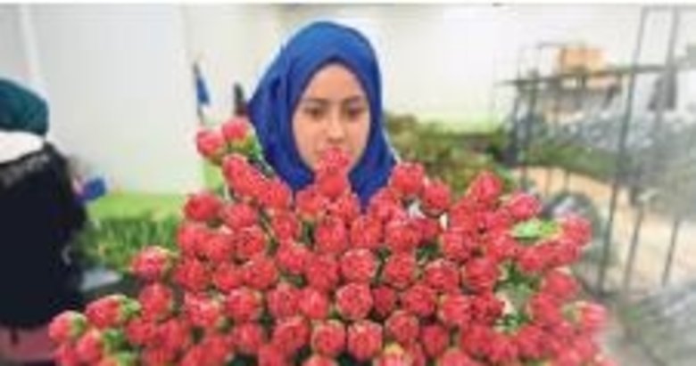 Yılbaşında dünya Türk çiçekleriyle süslenecek