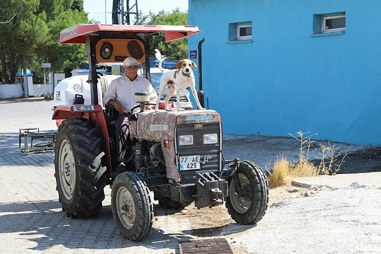 izmirde-duygulandiran-dostluk-beneklinin-sadakati-yurekleri-isitti-1786089665469.jpeg