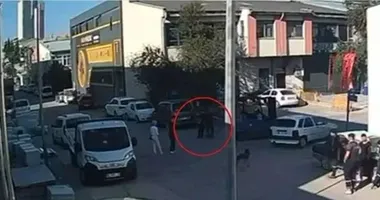Tasmasız köpek dehşet saçtı!