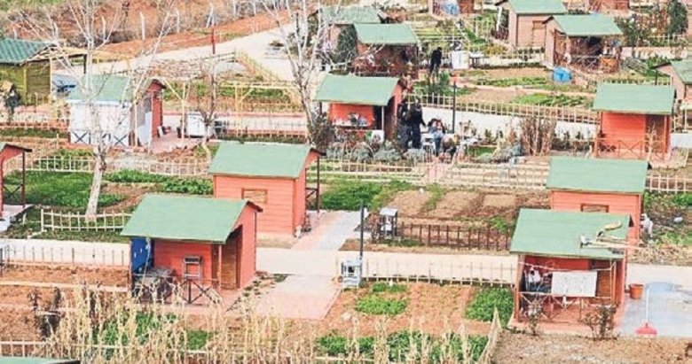 Hobi bahçelerine af yok