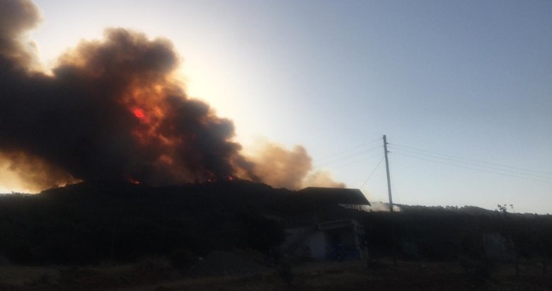 Aydın’daki iki orman yangınından biri kontrol altına alındı