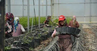 yeni asir kucuk ilanlar bahcivan