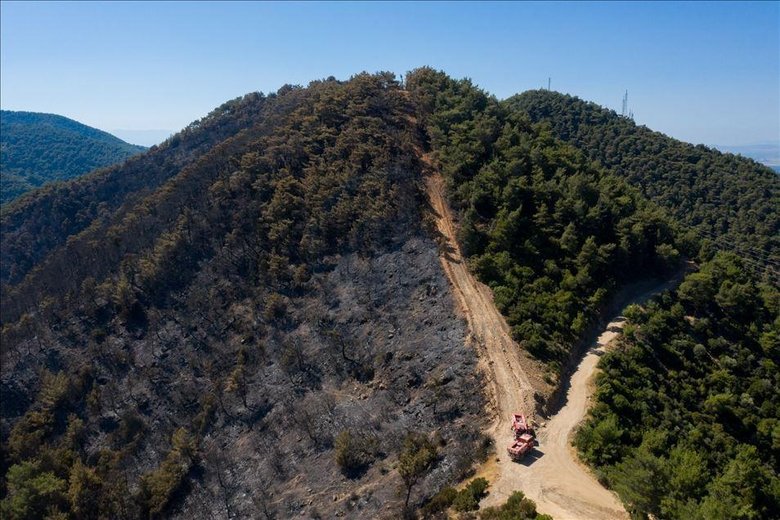 İzmir’de 26 bölgedeki ormanlık alana girişler yasaklandı