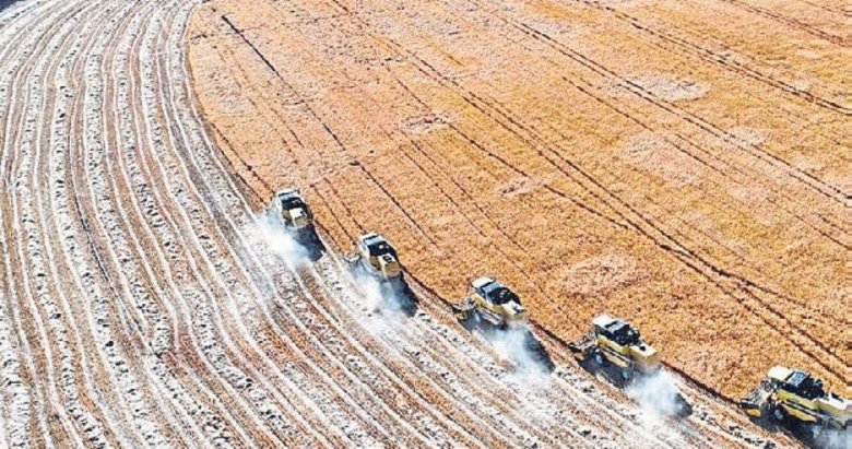 Tarıma 2.5 milyar liralık hibe desteği