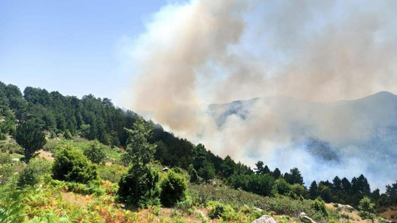 Orman yakmak için 3 ilde keşif yapan 2 PKK’lı yakalandı