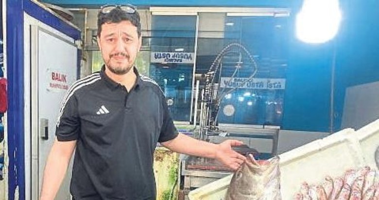 Devasa Lagos balığı 12 bin liradan satışta