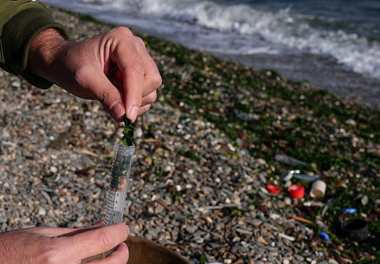 İzmir Körfezi’ndeki çalışmalar tamamlandı! Aşırı kirliliğinin 4 mevsim sürdüğü belirlendi