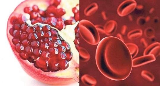 Benzediği organa fayda sağlayan besinler