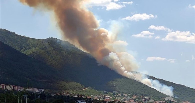 Denizli’de çıkan orman yangını kontrol altına alındı