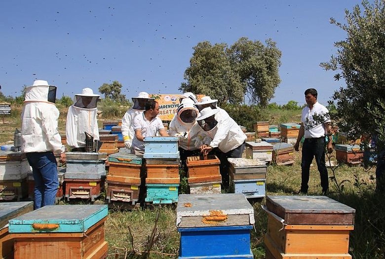Bankada yöneticiydi! Bu iş için istifa etti: Artık daha fazla kazanıyorum