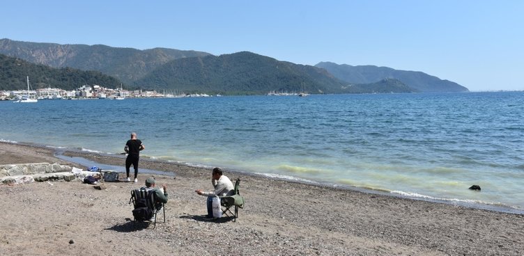 Marmaris’te denizin kıyısı sarıya boyadı