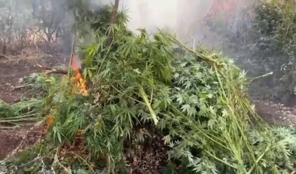 Diyarbakır’da zehir tacirlerine İHA operasyonu: 7 gözaltı