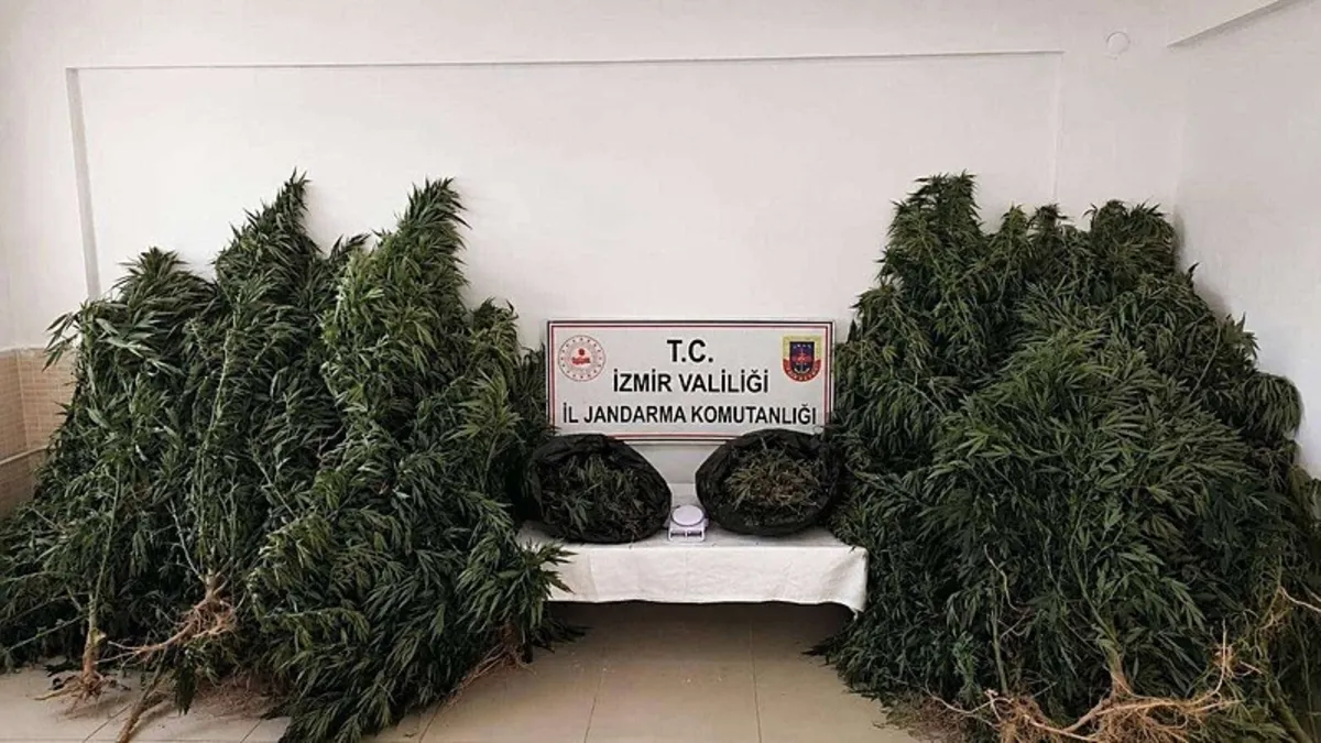 SON DAKİKA: İzmir'de zehir operasyonu! Kilolarca ele geçirildi