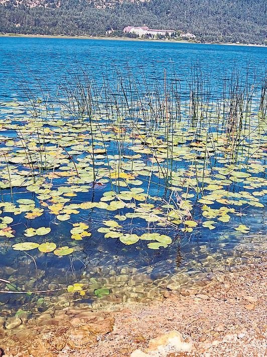Yaza veda sonbahara merhaba