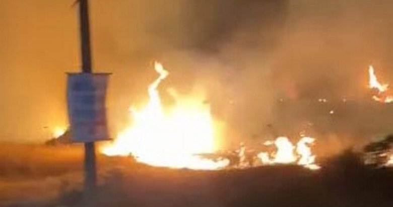 Didim’de 5 dönüm makilik alan yandı