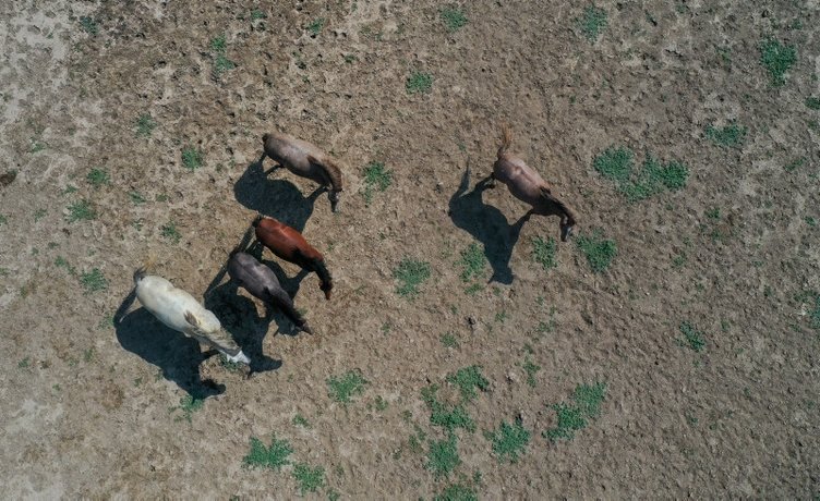 İzmir’deki Tahtalı Barajı’nda doluluk oranı alarm veriyor!