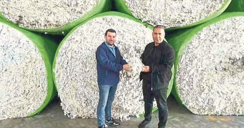 Pamukta dekar başına verim ortalaması artacak