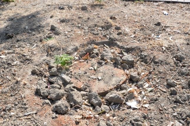 Menemen’de ağaçların kesildiği parkta inşaat başladı