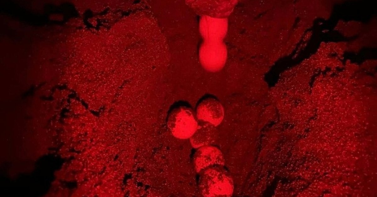 Muğla'da heyecanlı anlar! Dalyan'da sezonun ilk caretta caretta yuvası belirlendi