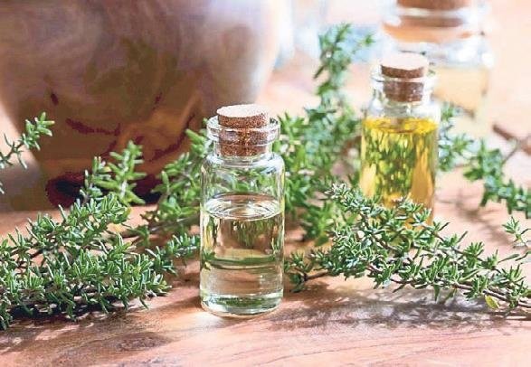 Bitkilerden gelen güzellik ve şifa