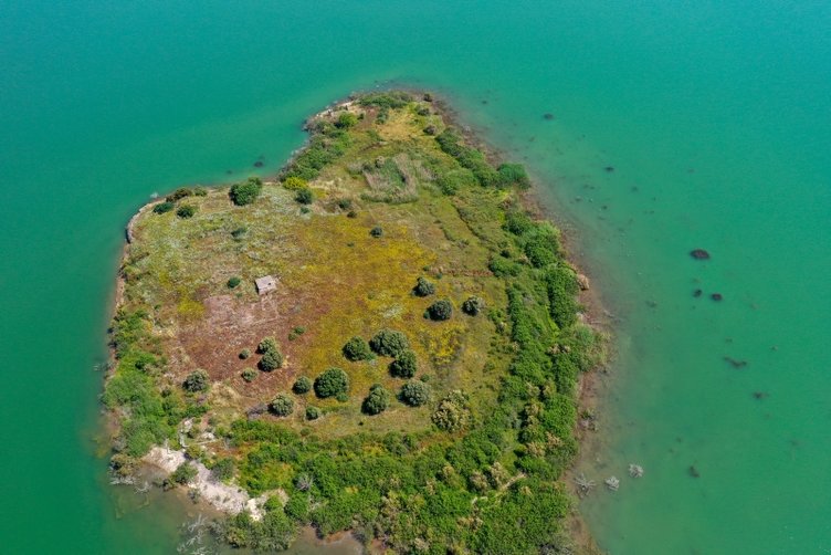 İzmir ve Ege barajlarında son durum! Bu yaz susuzluk yaşanır mı?