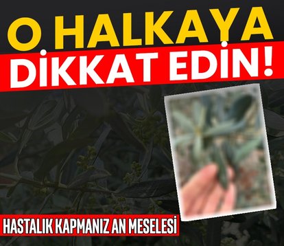 O halkaya dikkat! Hastalığı kapabilirsiniz