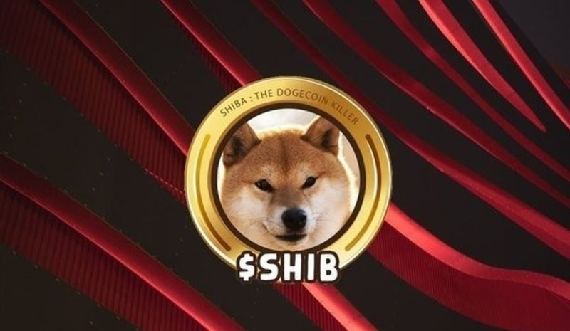 shib nedir shiba coin saat kacta binance de olacak shib nasil alinir shib nedir shiba coin saat kacta binance de olacak shib nasil alinir