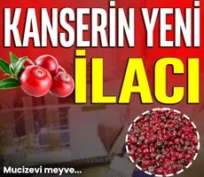 Kanserin yeni ilacı