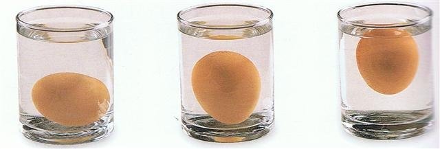 Bozuk yumurta nasıl anlaşılır? Denemesi bedava hemen test edin